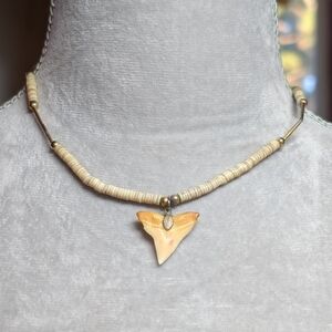 Genuine Shark Tooth And Shell Necklace